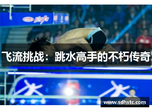 飞流挑战：跳水高手的不朽传奇
