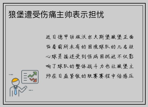 狼堡遭受伤痛主帅表示担忧